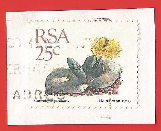 Republic of South Africa- Used- Cancel- Postmark- On Paper-Thematic-Floral