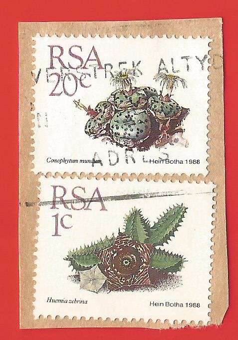 Republic of South Africa- Used- Cancel- Postmark- On Paper-Thematic-Floral