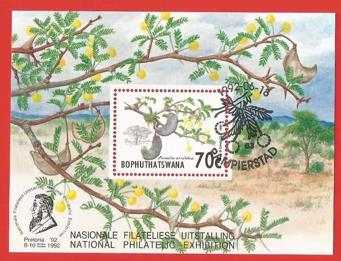 Bophuthatswana-1992- M/S-CTO- SACC 282a-Thematic-Flora-Trees-Acacia