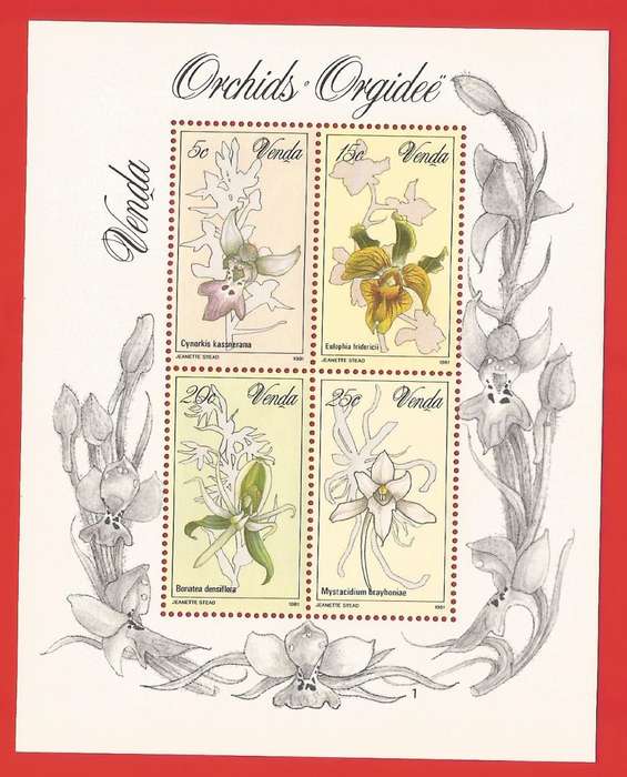 Bophuthatswana-1981- M/S-MNH- SACC 50-Thematic-Flora-Flowers-Orchids