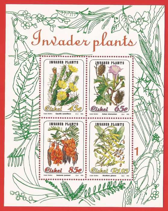 Ciskei-1993- M/S-MNH- SACC 246-Thematic-Flora-Invader Plants