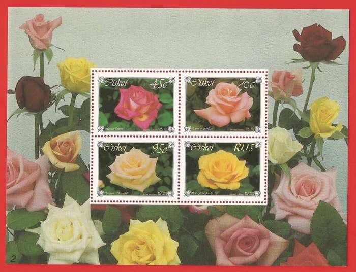 Ciskei-1994- M/S-MNH- SACC 255-Thematic-Flora-Flowers-Roses