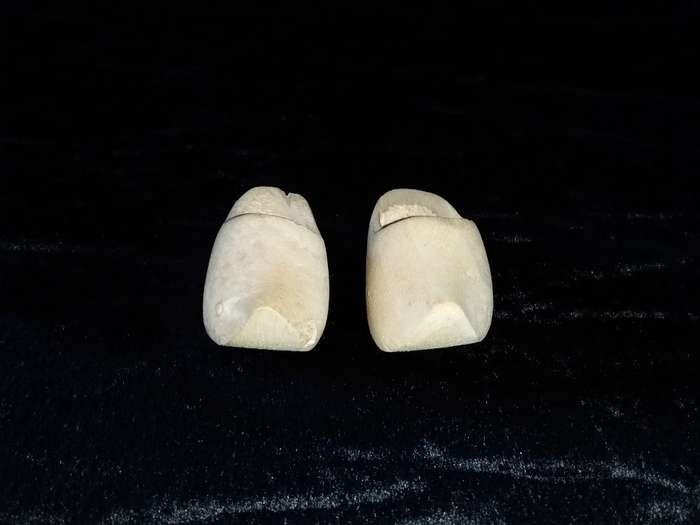Small Wood Clogs