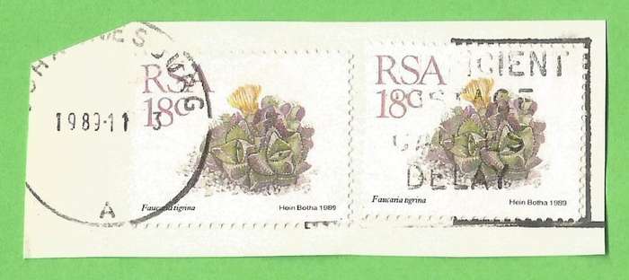 RSA-18c-Cancel-1989-Used-On Paper-Thematic-Flora-Succulents