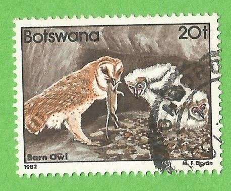 Botswana-20t-Used-Cancel-Thematic-Fauna-Birds-Owls