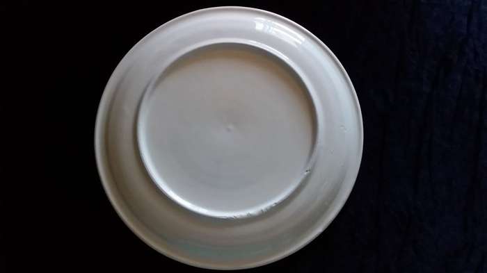 Plate- 1887-1987- A Century of Progress- Boksburg