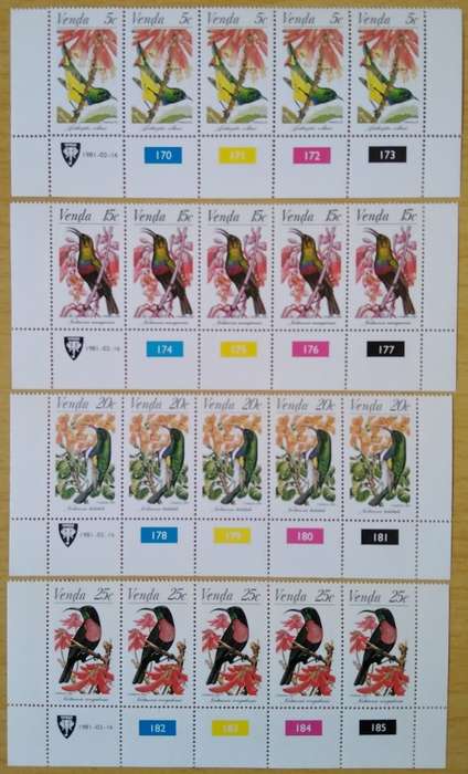 1981-Venda-MNH-Sunbirds-Control Blocks-SACC 38-41