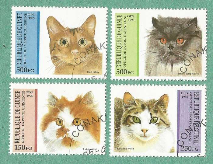 Guinea Used 1995 Cats