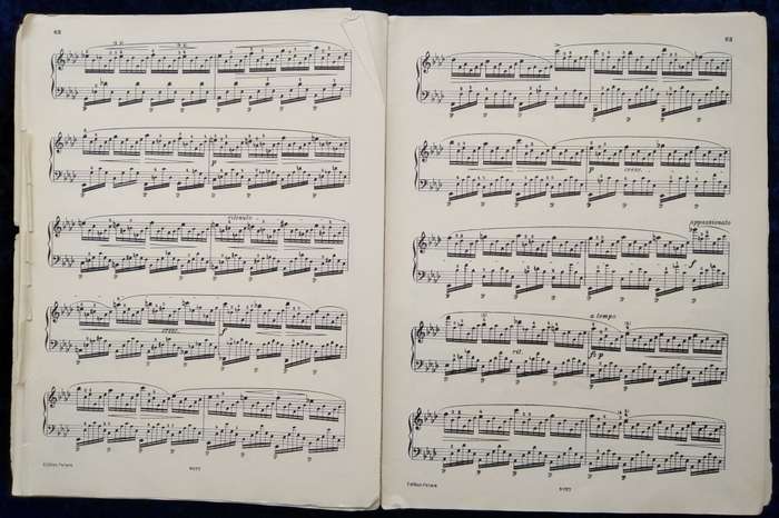 Book-Edition Peters/Nr 1907/CHOPIN/ETUDEN/Scholtz-V.Pozniak