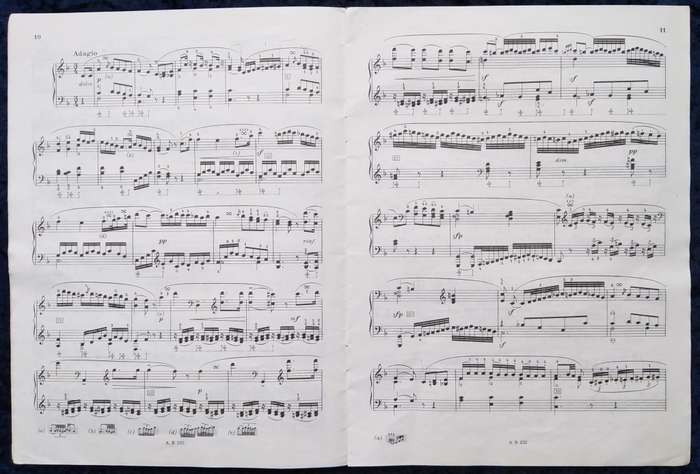Book-Beethoven Sonatas for Pianoforte