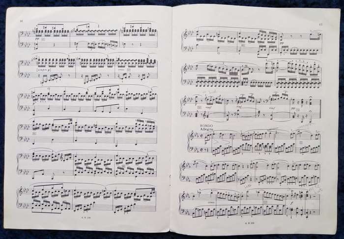 Book-Beethoven Sonatas for Pianoforte