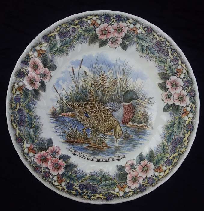 Collectable Plate-Wildlife Churchill-Myott Factory Archive Illustrations-Anas Platyrhynchos