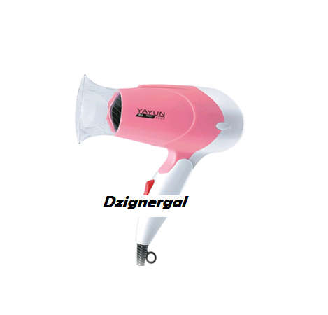 Professional Hair Dryer