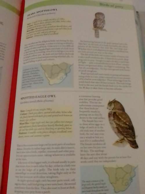 Southern Africa Wildlife, very good guide to our animals and more.