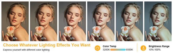26cm Ring Light for iPad, LED Ring Light with Tripod Stand, Dimmable Makeup Light, YouTube