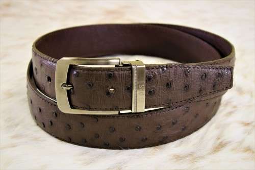Ostrich leather men`s belt (Dark Brown)