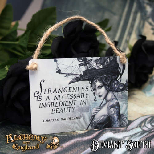 Alchemy Gothic AG-ALHS14 Strangeness is a necessary ingredient... Mini Metal Sign