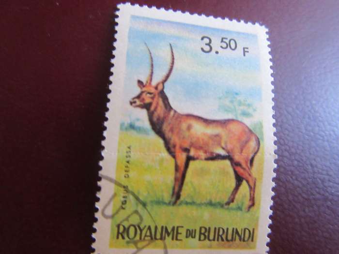 BURUNDI - H22