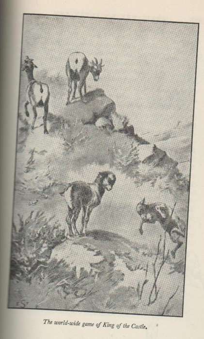 THE BEST OF ERNEST THOMPSON SETON   (2 ND IMPRESSION 1961)