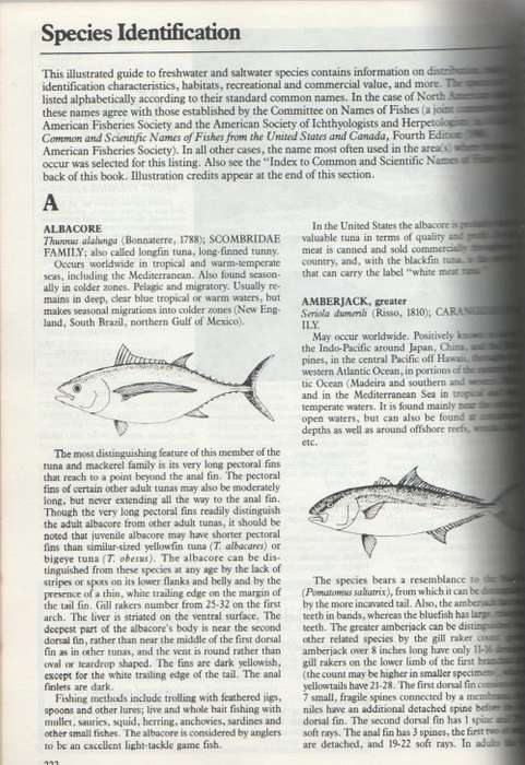 1986 WORLD  RECORD GAME FISHES - INTERNATIONAL GAME FISH ASSOCIATION