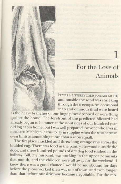 CHAKKA - BEVIE J GRAVLIN (1 ST EDITION 1993)