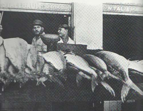THE SPIRIT OF DISTRICT SIX - CLOETE BREYTENBACH (1970)