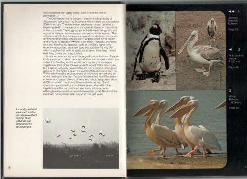 3X GARDEN BIRDS OF SOUTHERN AFRICA - PETER GINN & GEOFF MCILLERON