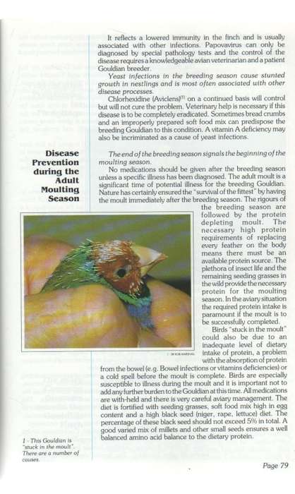 A GUIDE TO GOULDIAN FINCHES - 1991 AUSTRALIAN BIRDKEEPER