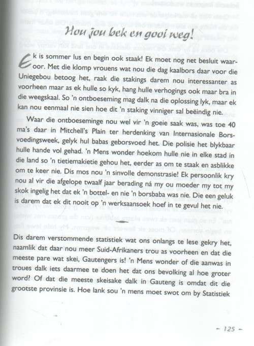 BLOUWILLESTORIES - BLOUWILLEM (2008)