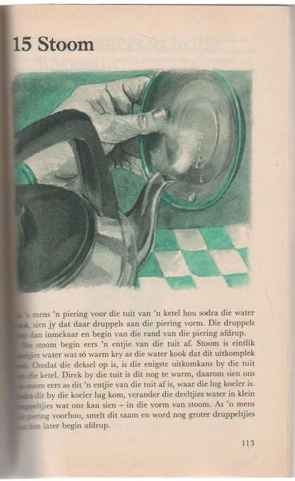 WES VAN DIE MAAN, BOEK 10  - NUWE SILWERBOOM-REEKS - INA WIID