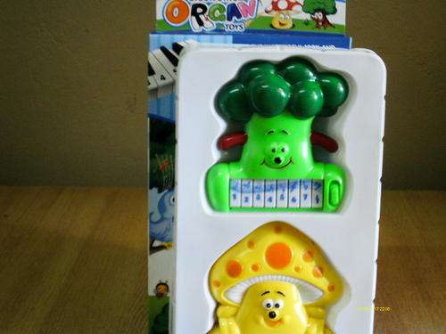 Educational electronic organ toys (2 pieces)