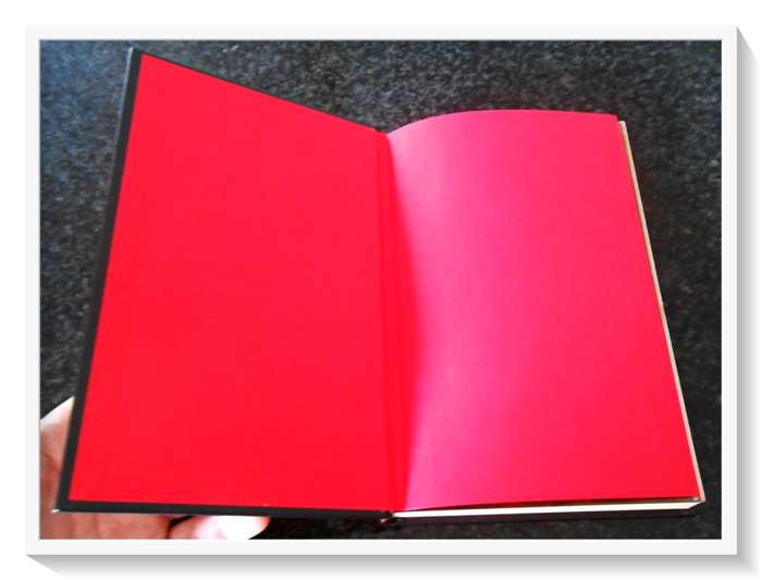 The Eyeball Collector by F.E. Higgins First US Edition - 2009 - Hardcover CONDITION: A (Like New)