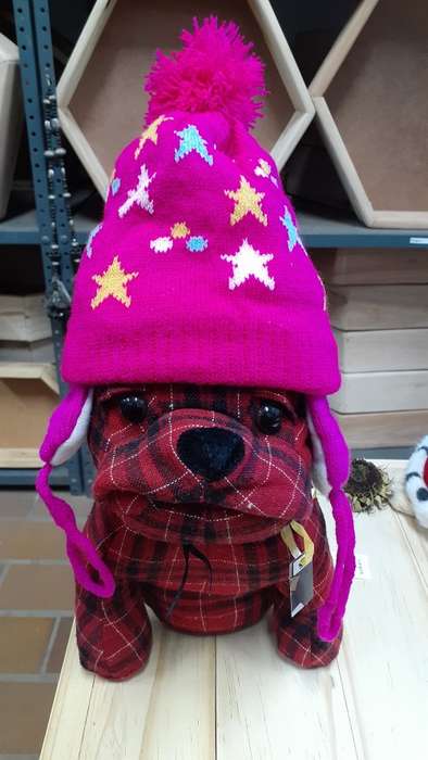 Kids Beanie - Bright Pink with stars detail