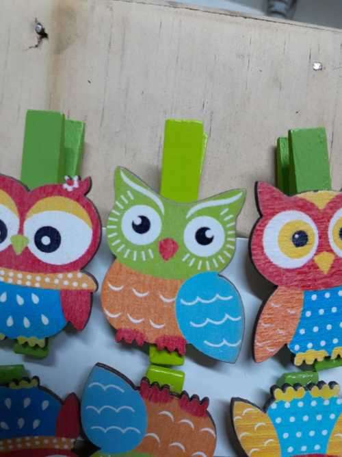 Wooden Owl Peg - Green