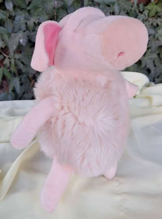 Plush Pink Pig - L. Dake en zn
