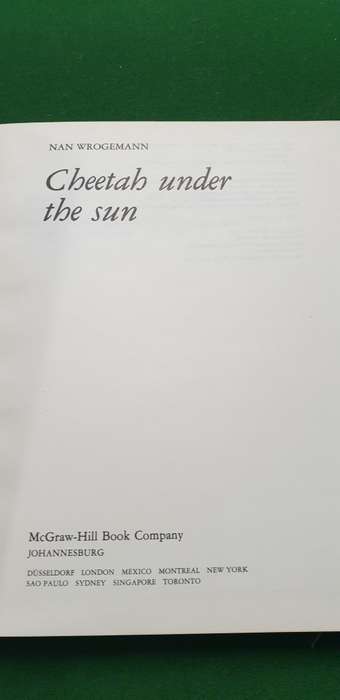 Cheetah under the sun. Nan Wrogemann.