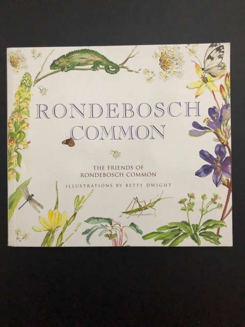Rondebosch Common by Betty Dwight