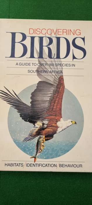 Discovering Birds. >180 species in Southern Africa. Aldo Berruti, Illustr. Maggie Newman.