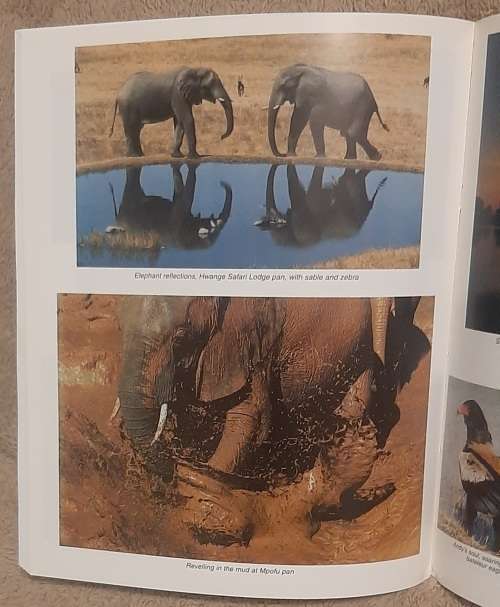 In An Elephant`s Life Amongst `The Presidential Elephants of Zimbabwe`  Author: Sharon Pincott