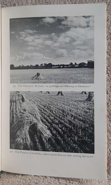 Corn Country  Author: C. Henry Warren