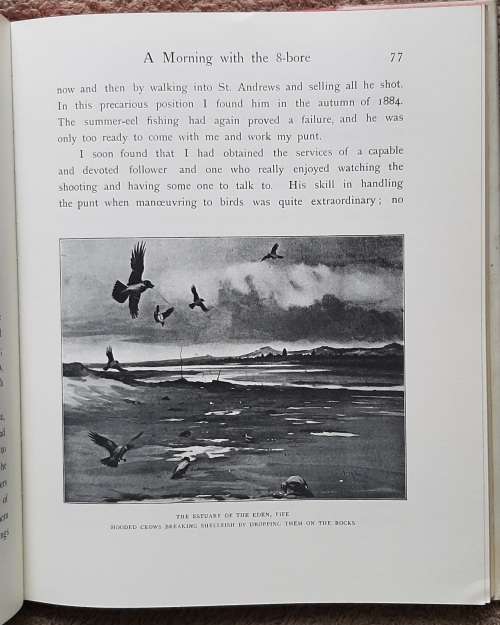 The Wildfowler in Scotland - Aythor: John Guille Millais, F.Z.S.