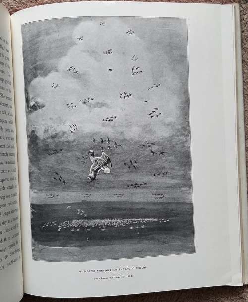 The Wildfowler in Scotland - Aythor: John Guille Millais, F.Z.S.