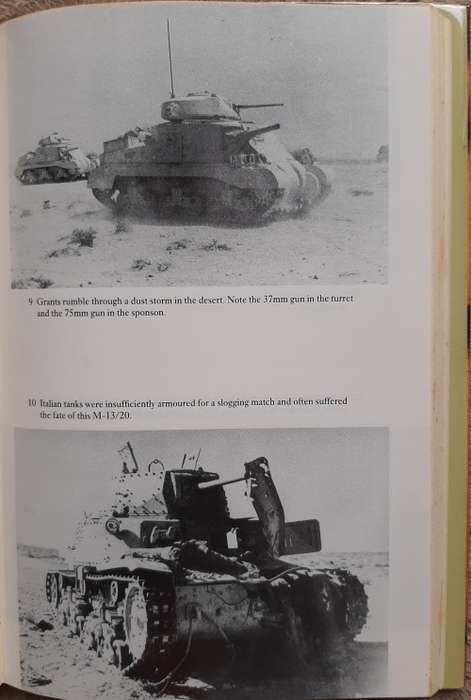 Panzer Bait with the 3rd Royal Tank Regiment 1940-1944 - Author: William Moore