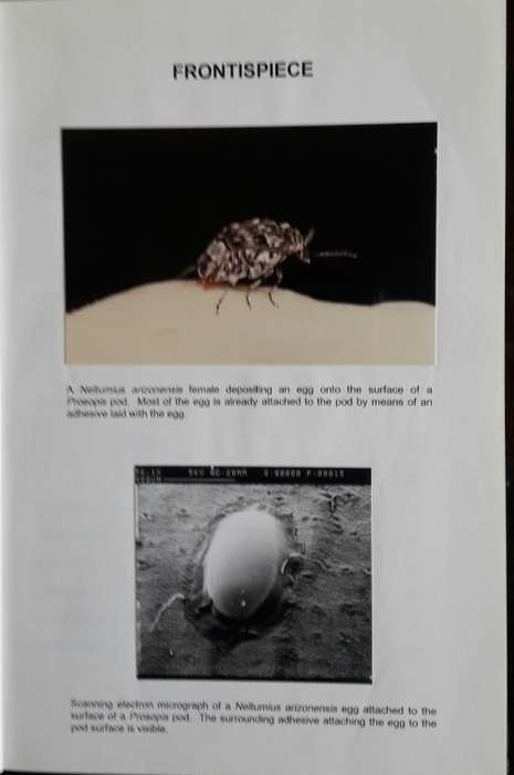 Oviposition Behaviour - L W Strathie