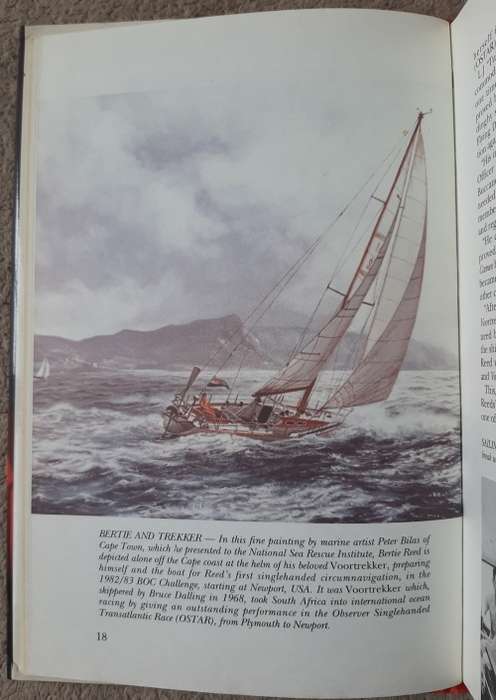 Reed in the Wind - Author: Roger Williams