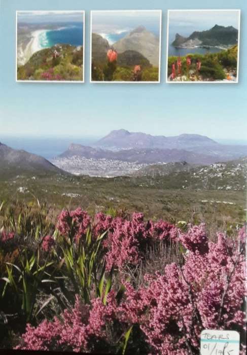 A Guide to the Wild Flowers of Silvermine - Compiled by The Friends of Silvermine Nature Area