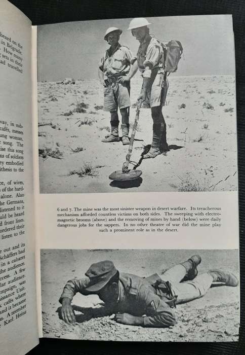 Foxes of the Desert - Author: Paul Carel