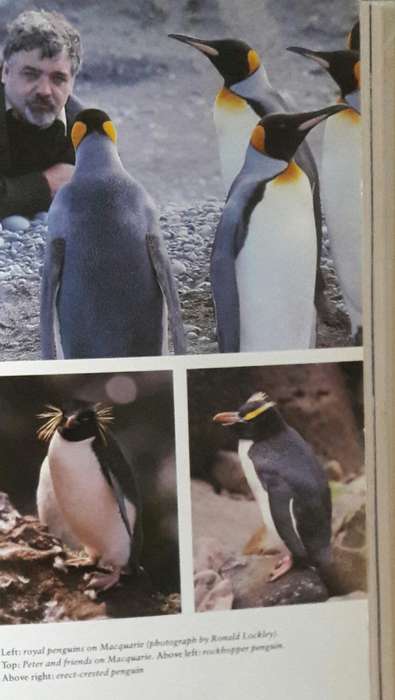 Voyage Through The Antarctic
