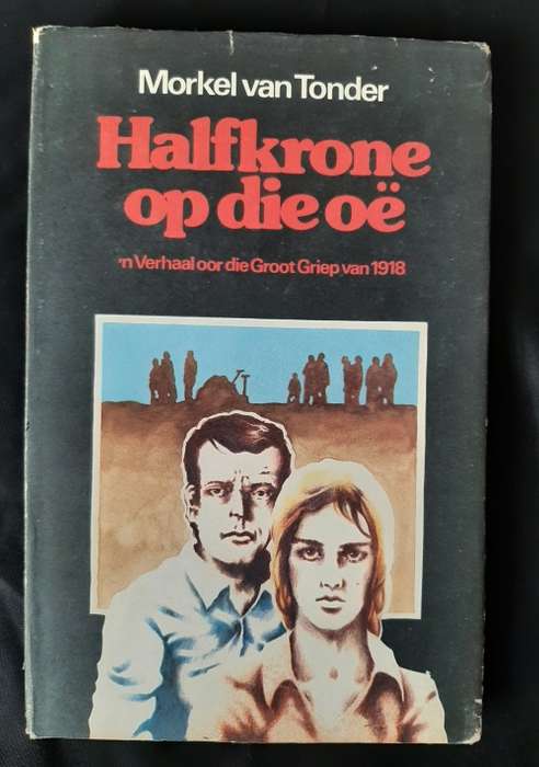 Halfkrone op die oë: `n Verhaal oor die Groot Griep van 1918 by Morkel van Tonder