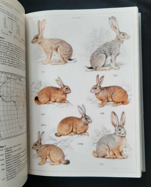 The Mammals of the Southern African Subregion by John D. Skinner & Reay H.N. Smithers